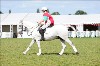 UKPA NC SAT_2383